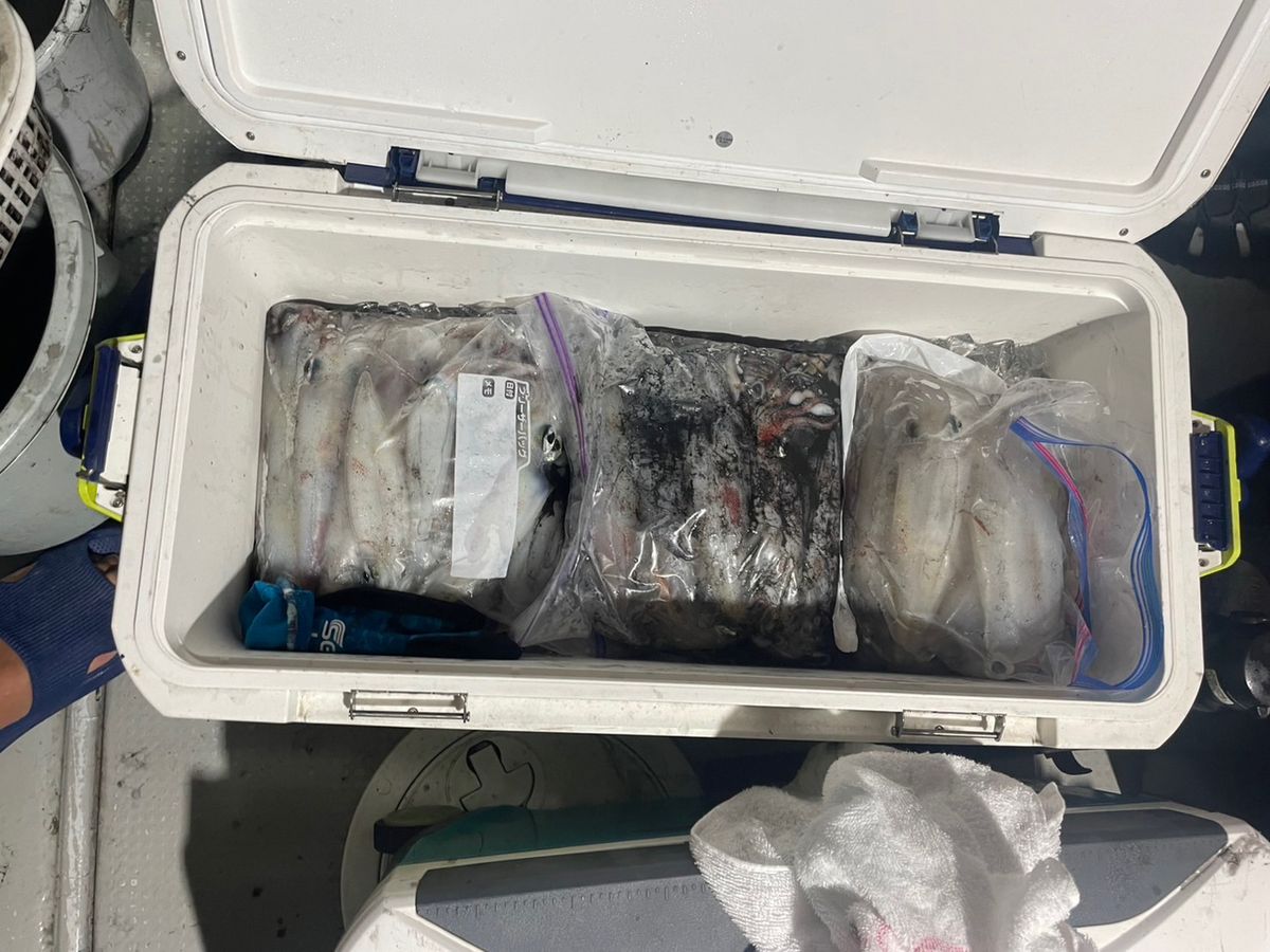 田畑良朗@なつき丸さんの釣果 3枚目の画像