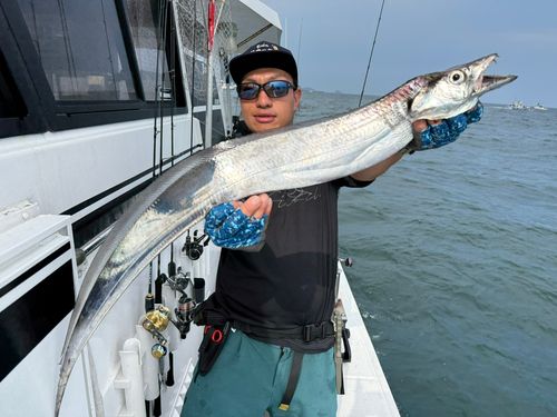 タチウオの釣果