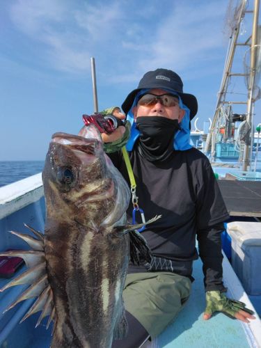 イシナギの釣果