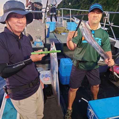 タチウオの釣果