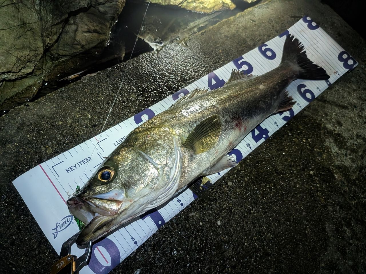 DAIWA 19ラテオ R 100MHの最安値・インプレ・釣果 | 本音の
