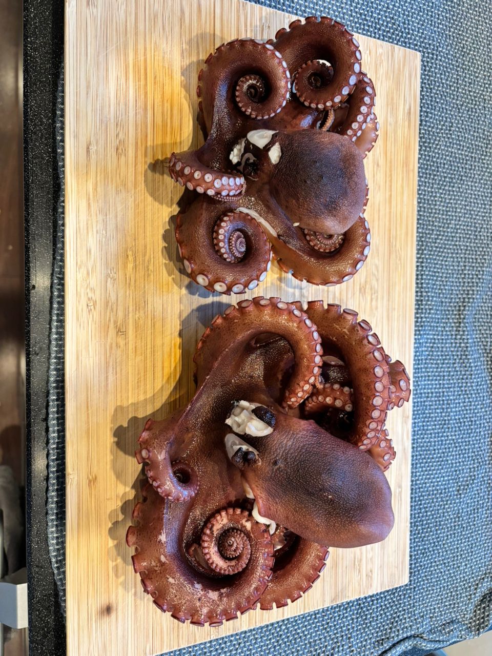 よぴっくさんの釣果 3枚目の画像