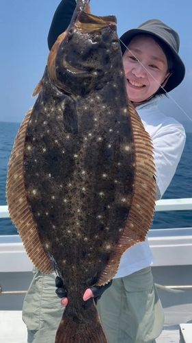 ヒラメの釣果