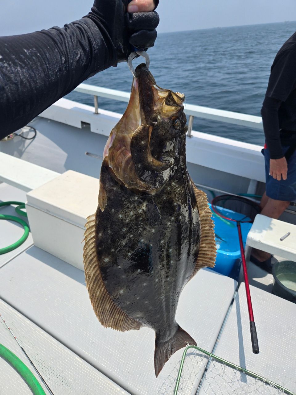 CHIYORIさんの釣果 2枚目の画像