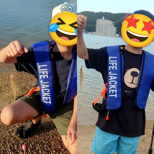 キスの釣果