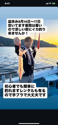 ケンサキイカの釣果