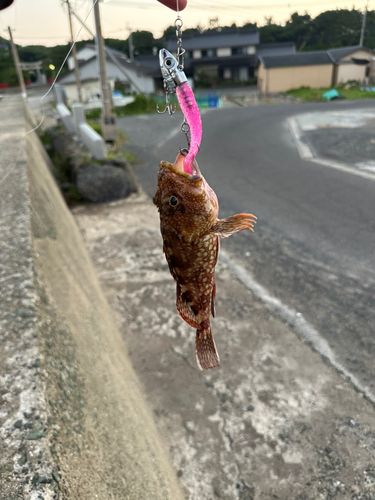 釣果