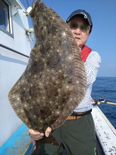 ヒラメの釣果