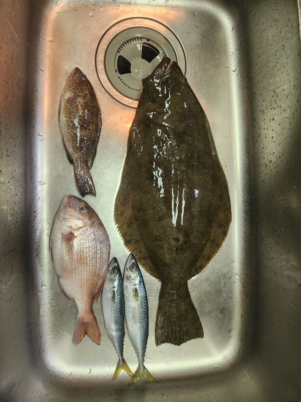 minoriさんの釣果 2枚目の画像