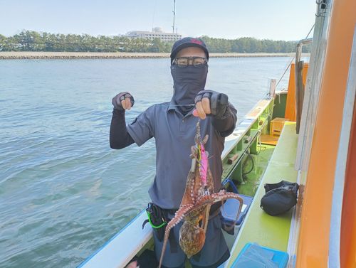 タコの釣果