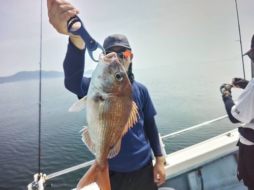 タイの釣果