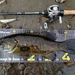 スモールマウスバス