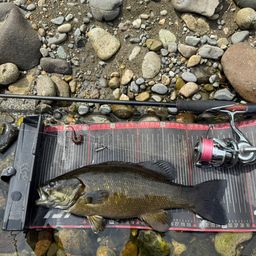 スモールマウスバス