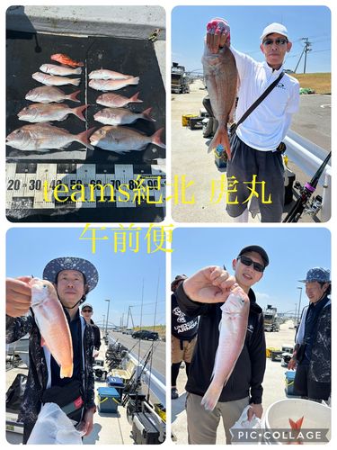 タイの釣果