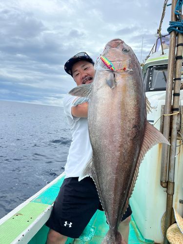 カンパチの釣果