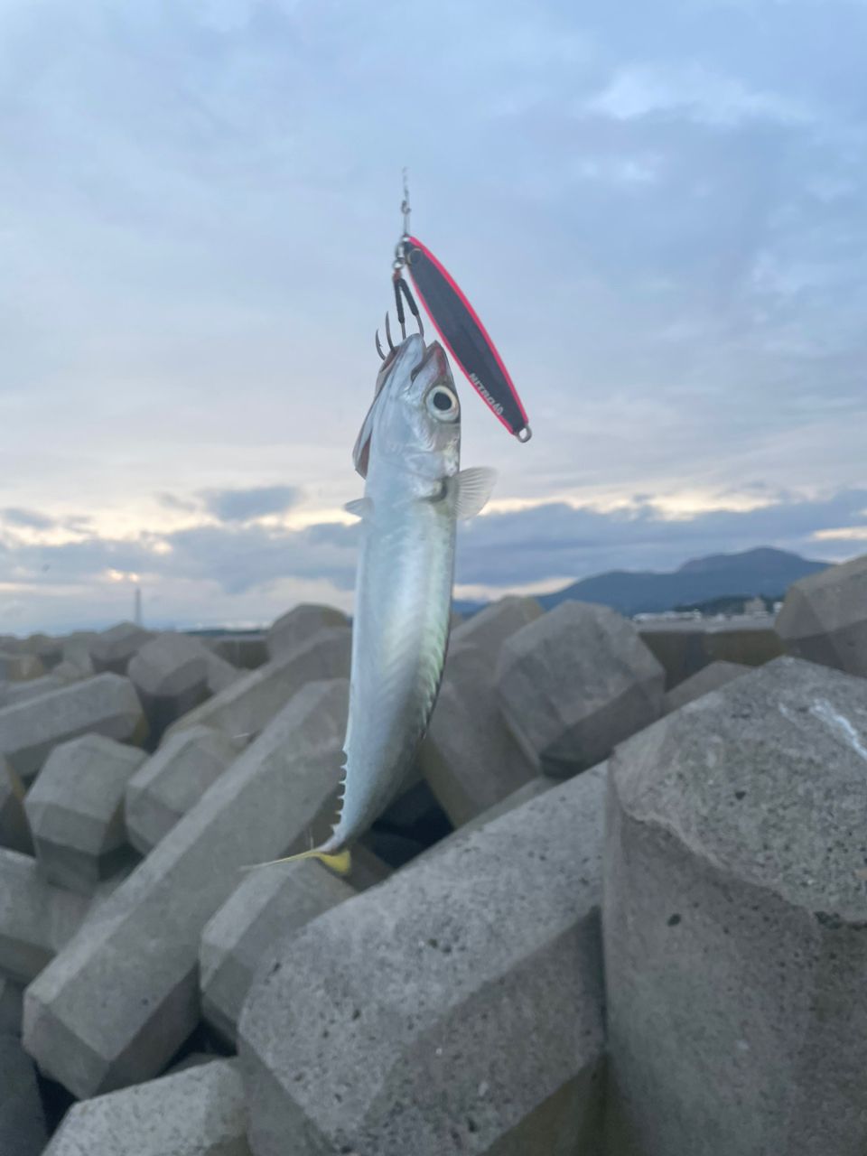 21ラブラックス　AGS 110MHー3 Amazon | ダイワ(DAIWA) LABRAX AGS・N 110MH-3・N ブラック