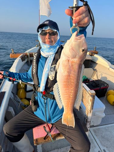 シロアマダイの釣果