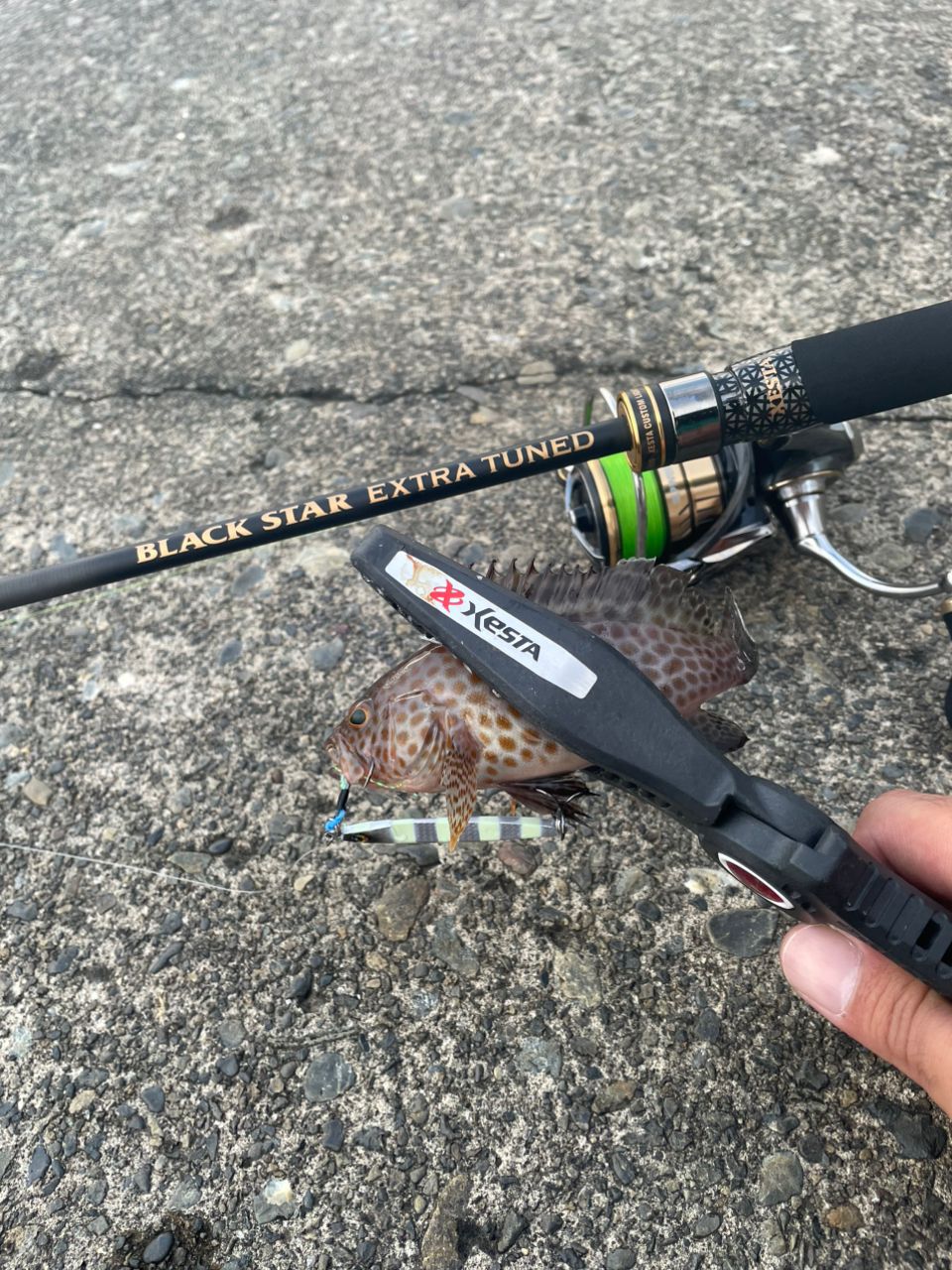 Daiwa 20ルビアスFC LT2500S－XH FC LT2500S-XH 20ルビアス DAIWA(ダイワ) 自重155g - 【通販