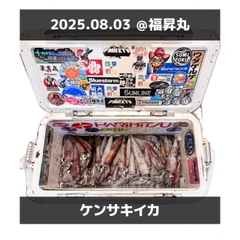 ケンサキイカの釣果