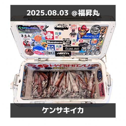 ケンサキイカの釣果