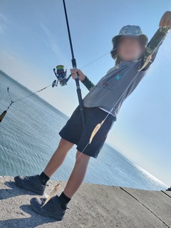 ハゼの釣果