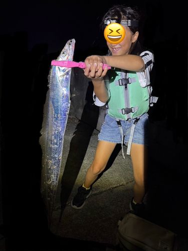 テンジクタチの釣果