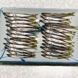 カマス