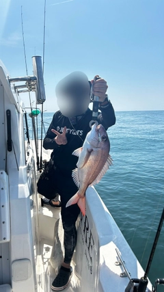 タイの釣果