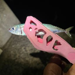 サバ