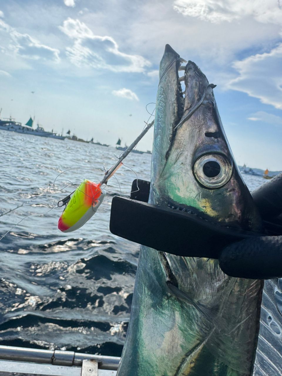 shizuシズさんの釣果 2枚目の画像