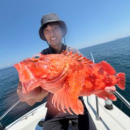 ウッカリカサゴ