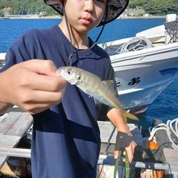 アジ