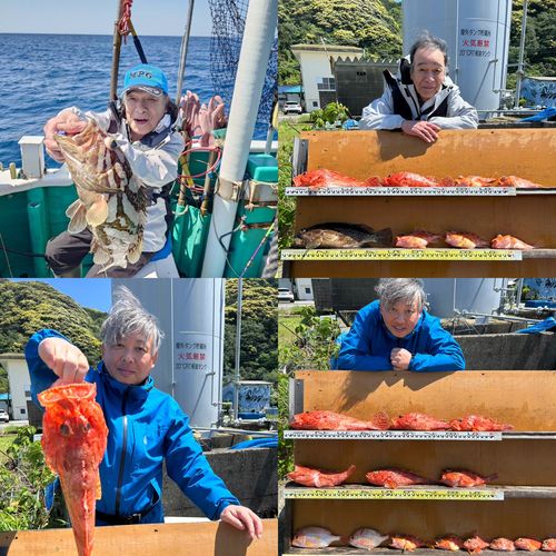 ホウキハタの釣果