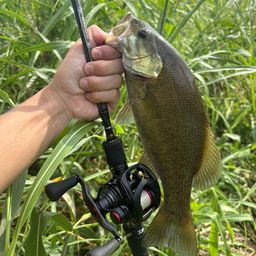 スモールマウスバス