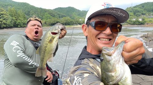 ブラックバスの釣果