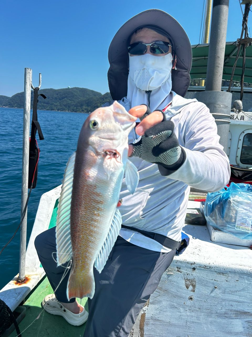 愛晃丸フィッシングさんの釣果 3枚目の画像