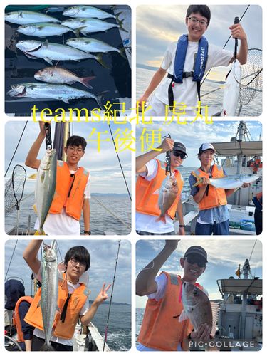 メジロの釣果