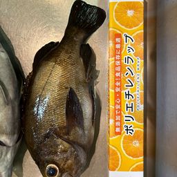 メバル