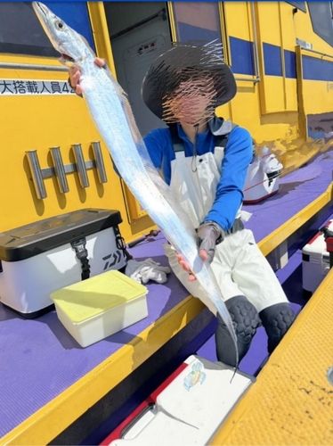 タチウオの釣果