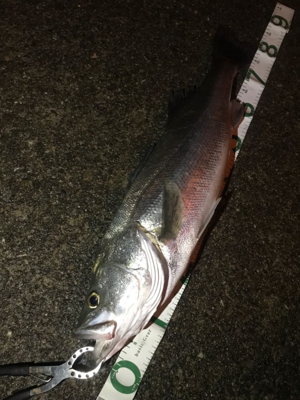 YAMAGA Blanks アーリー・フォーシーバス 97MMHの最安値