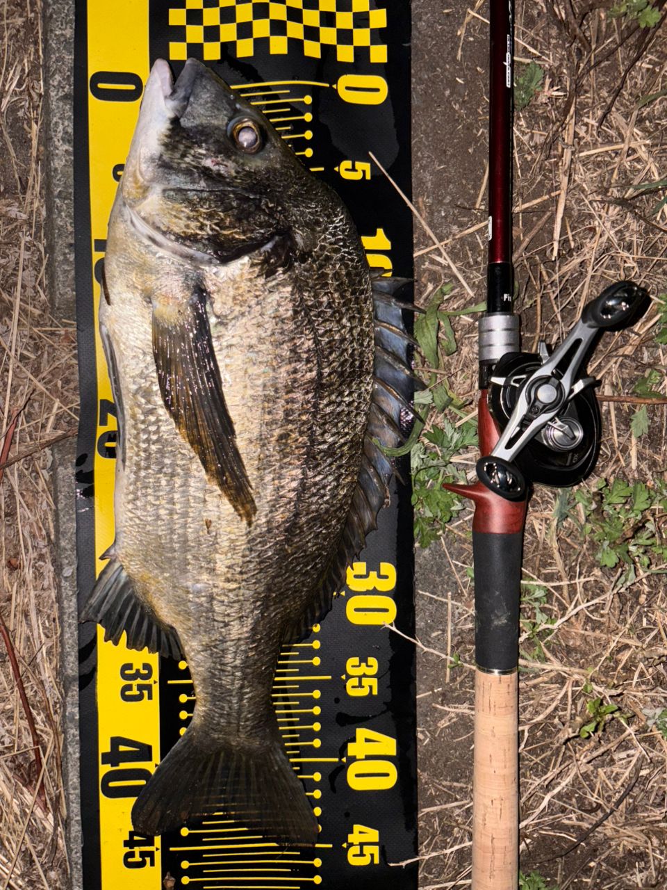 SHIMANO 20メタニウム XG LEFTの最安値・インプレ・釣果 | 本音