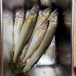 アユ