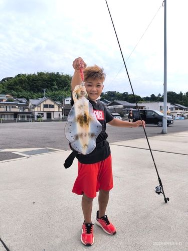 コウイカの釣果