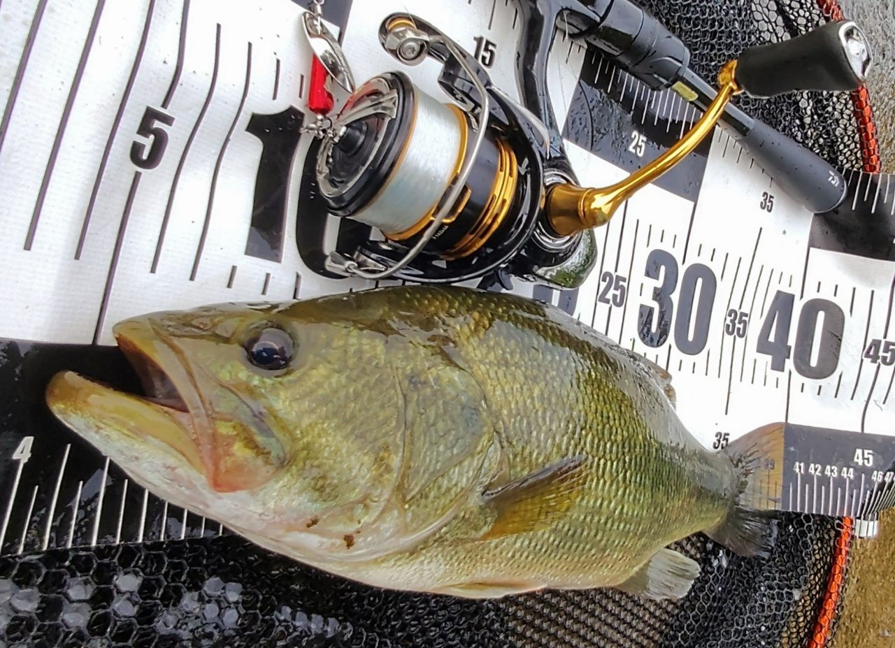 DAIWA 21ブレイゾン S67ML-2の最安値・インプレ・釣果 | 本音の