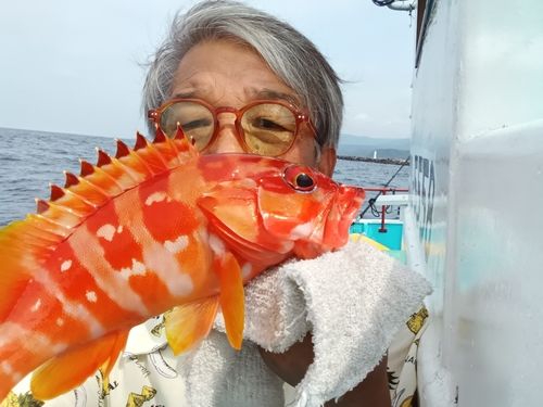 アカハタの釣果