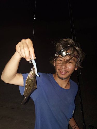 ソゲの釣果