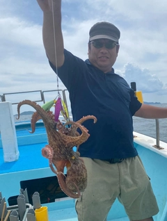 タコの釣果