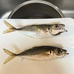 アジ
