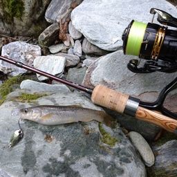 タカハヤ