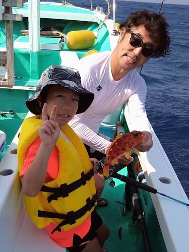 アヤメカサゴの釣果